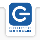 Logo CARAGLIO SRL