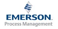 Logo EMERSON PROCESS MANAGEMENT SRL